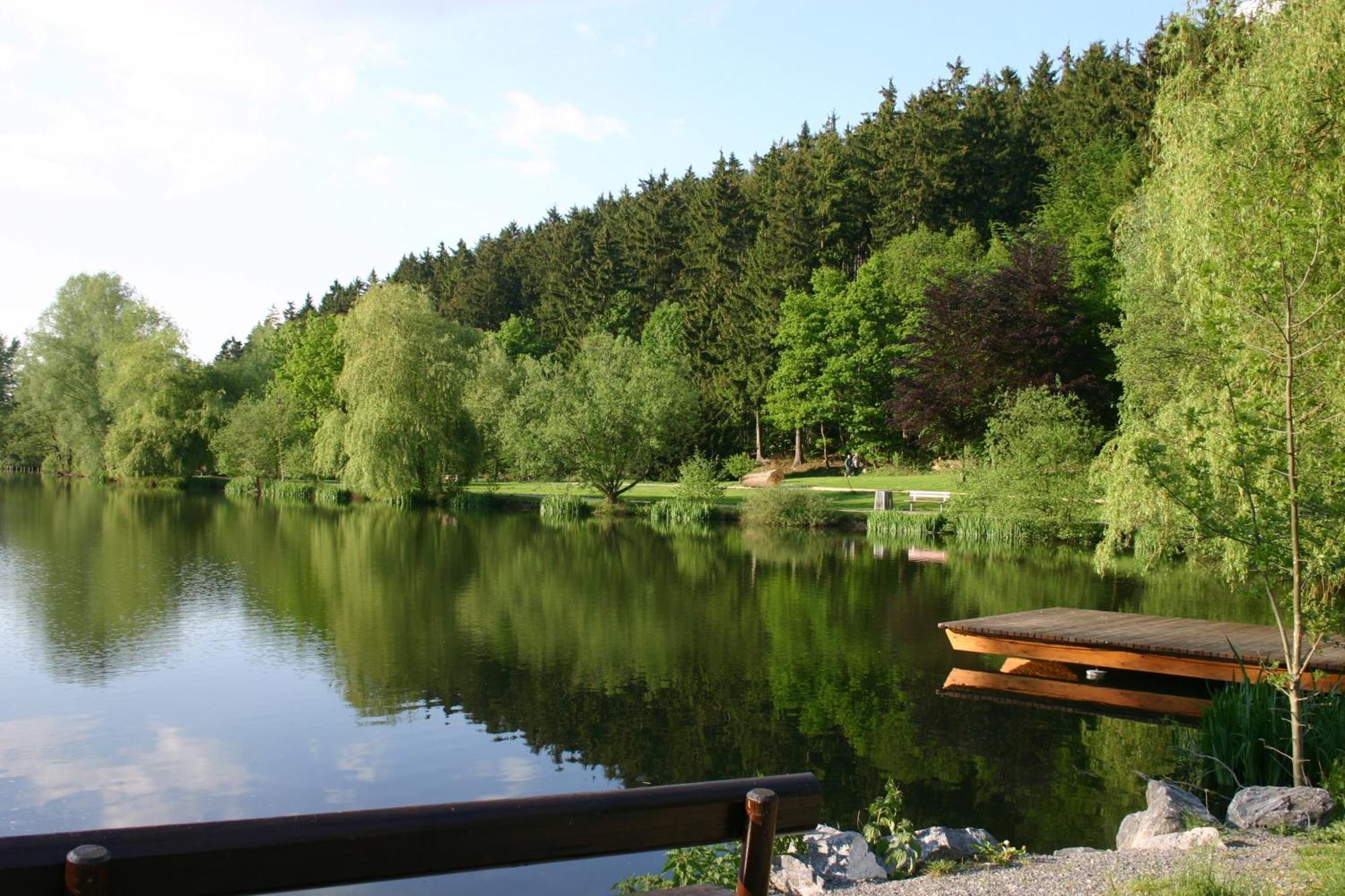 Ferienwohnung "Kirchblick" Im Ferienhaus Blumenhain Bad Wünnenberg Exteriér fotografie